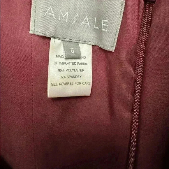 Amsale Eden Dress Size 6 In Ruby (Burgundy Red Shade) Bridesmaid BHLDN Maxi - Picture 11 of 13